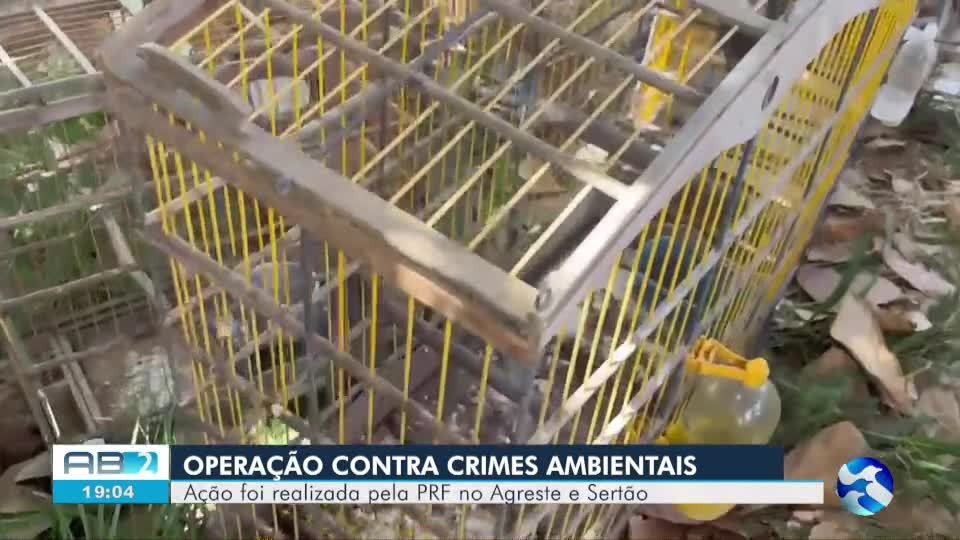 foto Not&iacute;cia Garanhuns