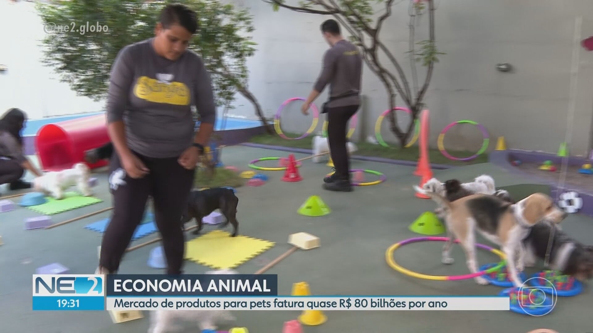 foto Not&iacute;cia Garanhuns