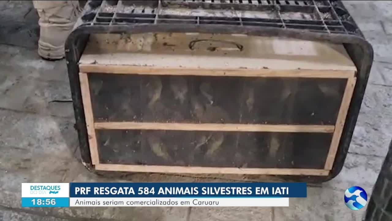 foto Not&iacute;cia Garanhuns